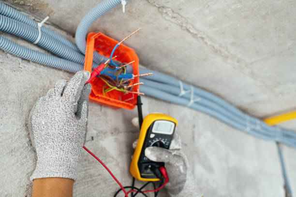 Best Local Electrician Companies  in Ridgeville, SC